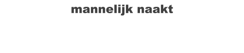 mannelijk naakt